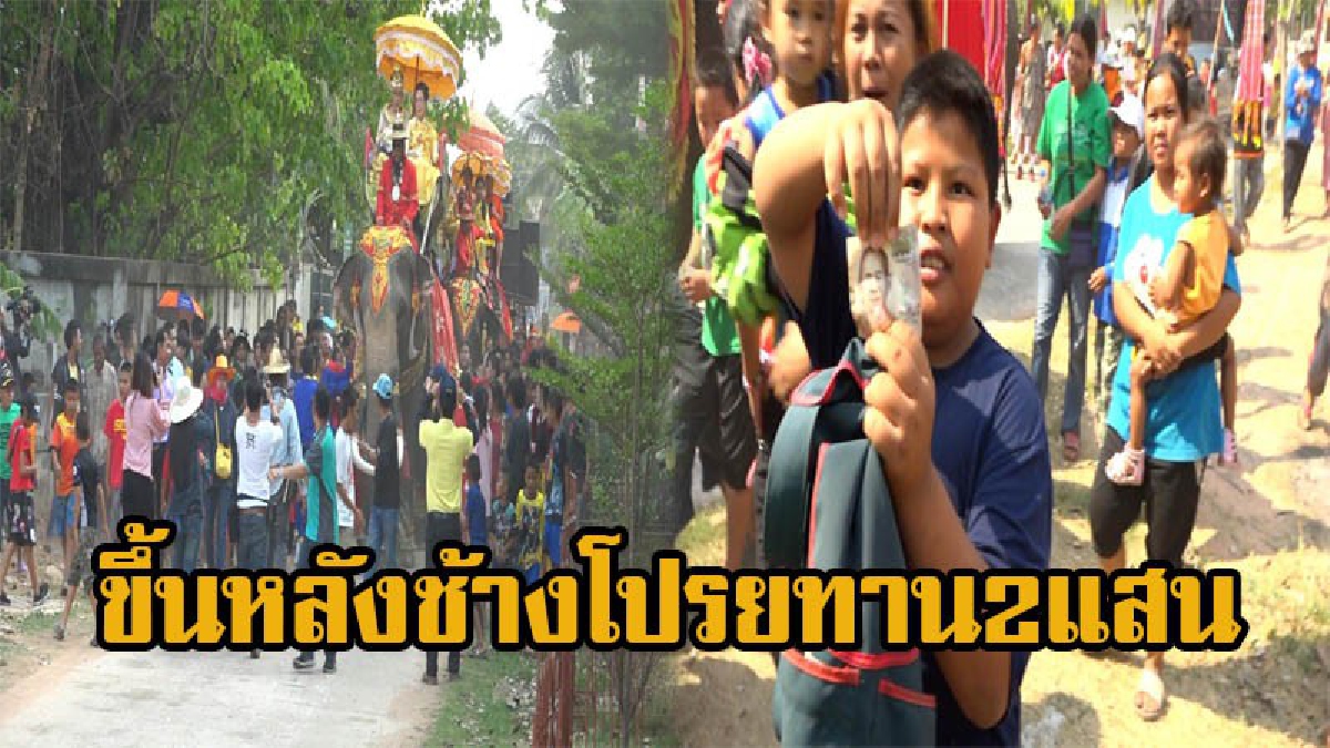 นายกสมาคมส่งเสริมการเลี้ยงไก่ นั่งบนหลังช้างโปรยทานเงิน 2 แสนบาท