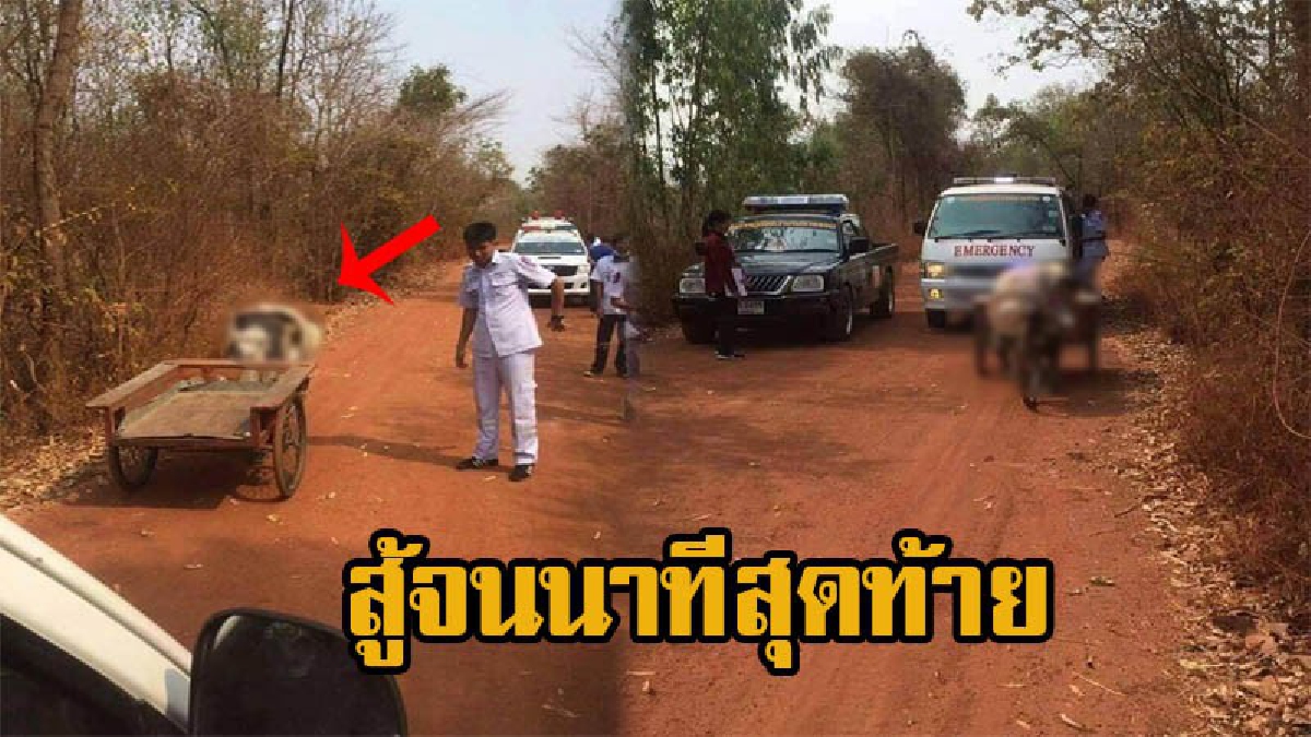 ชีวิตที่เลือกเกิดไม่ได้ ลุงวัย70 ถีบซาเล้งหาเลี้ยงชีพทุกวัน เกิดวูบดับคายานพาหนะคู่ใจ