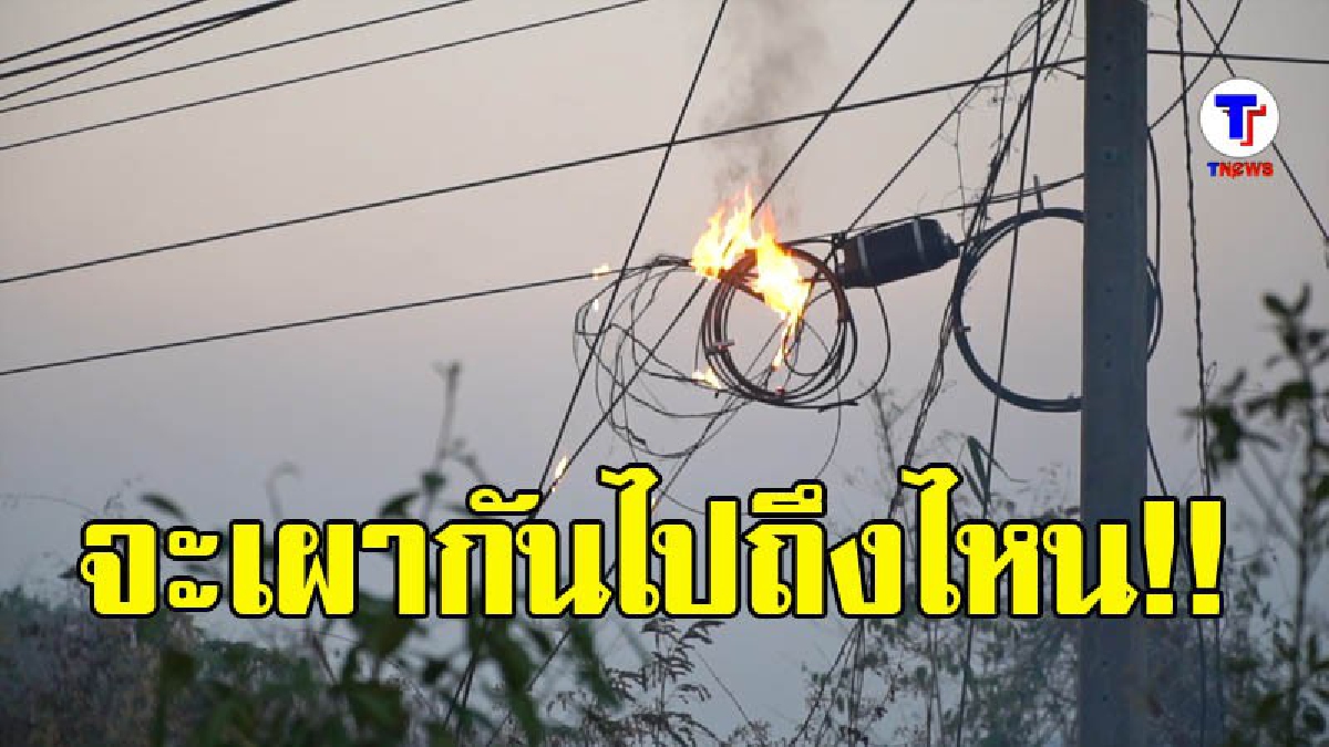 ไฟป่าภูสวรรค์ลามไหม้สายโทรศัพท์ริมถนนเลย-ภูเรือ การสื่อสารขัดข้อง 3 อำเภอ(มีคลิป)