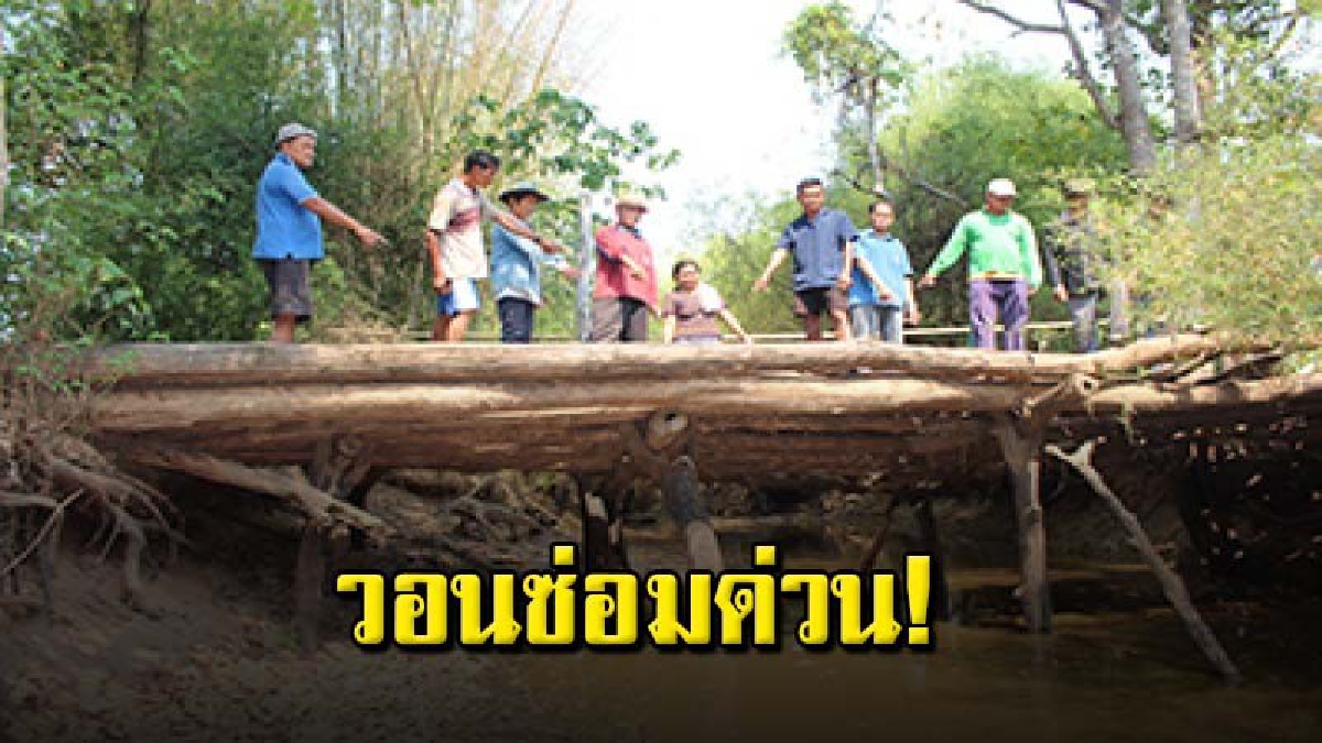สะพานไม้อายุนับ 100 ปี ชำรุดหวั่นพังถล่มทับชาวบ้านตาย วอนก่อสร้างใหม่