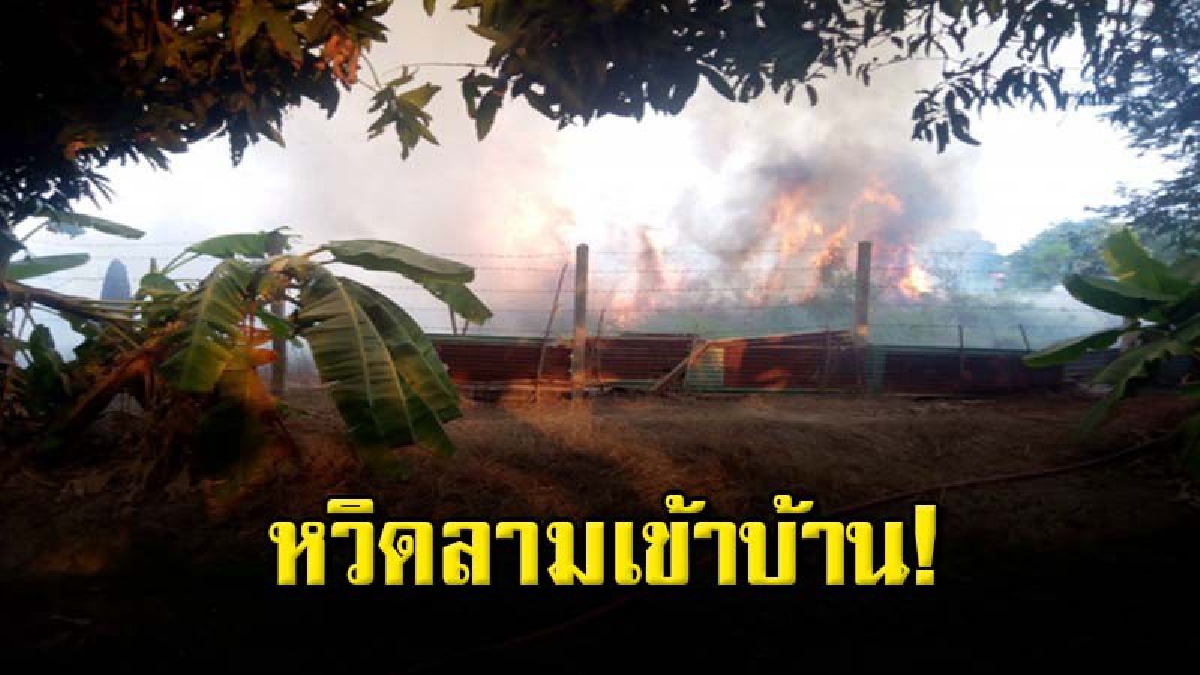 ยายเผาหญ้าแปลงผัก ก่อนสะเก็ดไฟกระเด็นเข้าดงธูป ลุกพรึบหวิดเผาบ้าน (ชมคลิป)