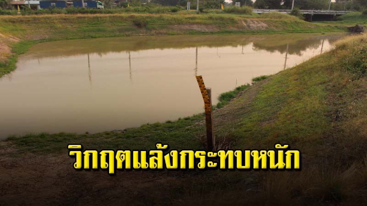 สถานการณ์ภัยแล้งที่นครสวรรค์ขยายวงกว้างและทวีความรุนแรงมากขึ้น ส่งผลกระทบต่อพื้นที่การเกษตรอีกนับหมื่นไร่
