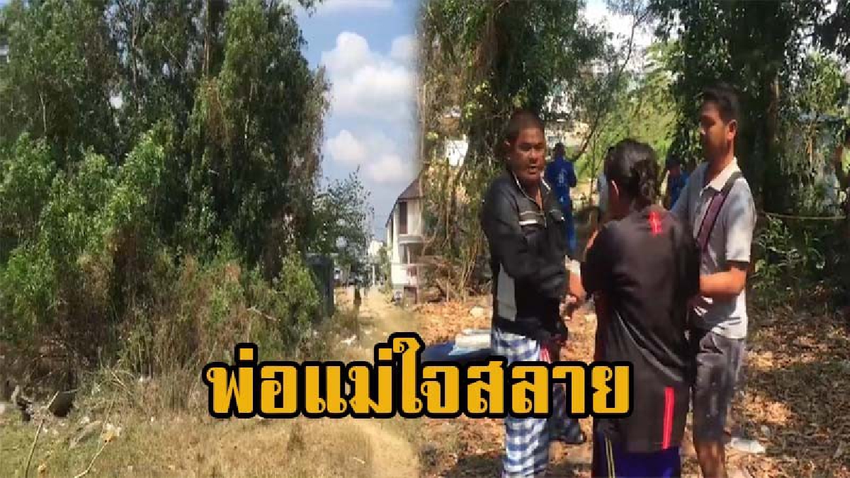 สลด หนุ่มวัยเบญจเพส โรคซึมเศร้ากำเริบ ผูกคอลาโลกใต้ต้นกระถินดับ