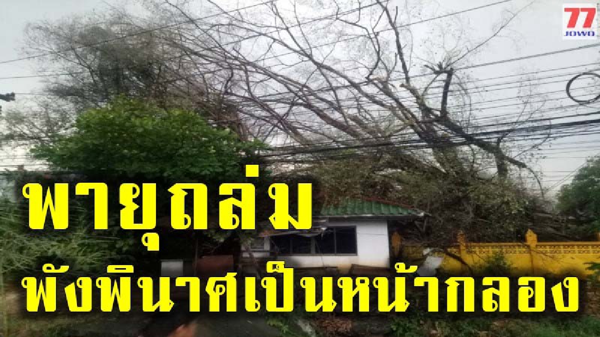 เหตุไม่คาดฝัน หญิงชราถูกอิฐทับร่างจนไร้วิญญาณ หลังพายุพัดถล่ม พร้อมต้นไทรอายุกว่า 100 ปี หักโค่นเสียหาย