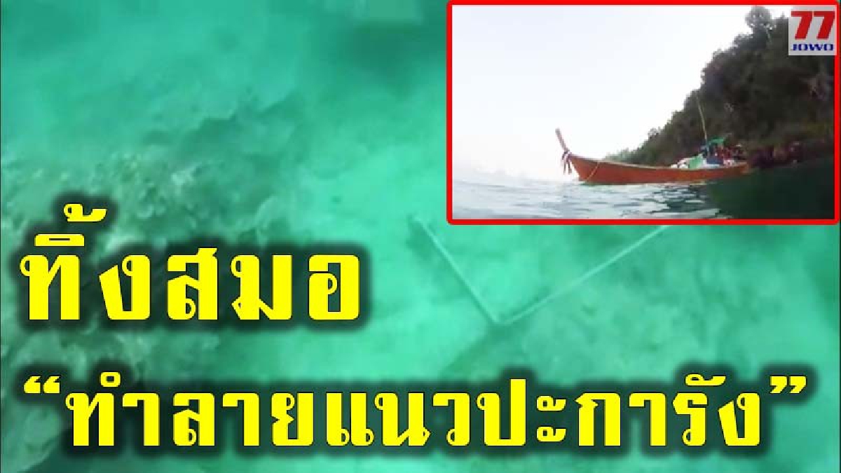 นทท.เดือด พร้อมถ่ายคลิปประจาน เรือทัวร์หางยาวจอดทิ้งสมอแนวปะการังเสียหาย