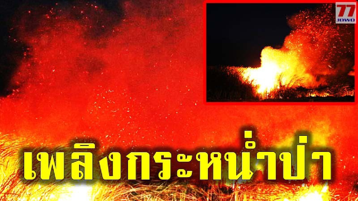 เปิดคลิประทึก ทะเลเพลิงพิโรธ วอดวายป่ากกควันโขมงเต็มฟ้า จนท.ระดมกำลังเร่งดับด่วน