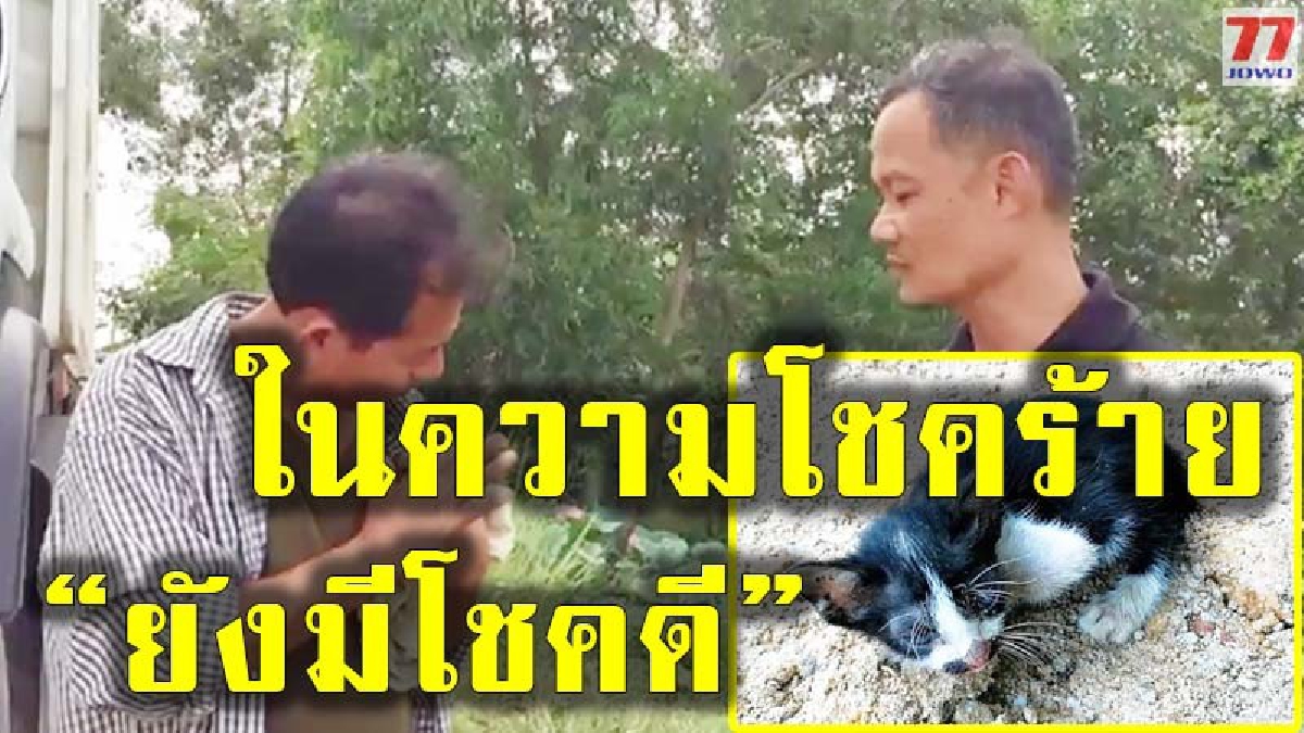 สะเทือนใจคนรักสัตว์ พบลูกแมว 5 ตัวแรกเกิด ถูกจับใส่กระสอบปากปิดตายทิ้งริมถนน โชคดีหนุ่มใหญ่มาพบรอดเพียงตัวเดียว ชาวบ้านประณามยับ
