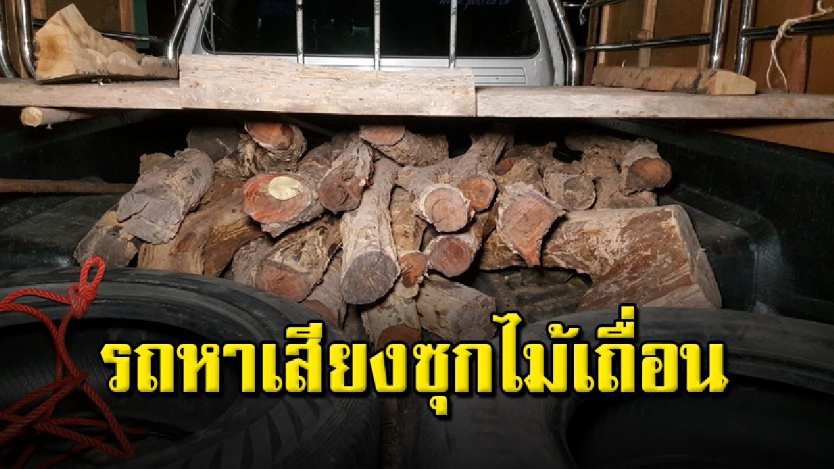 มอดไม้เหิม ใช้รถแห่หาเสียงบังหน้า ซุกไม้พยุง สุดท้ายไปไม่รอด ถูกจับคารถ 1 ราย หลบหนี 2 ราย