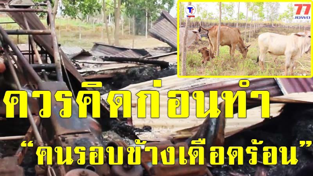ไฟไร่อ้อยลามถึงปลายนา วอดวายสิ้น เจ้าแสนอาลัยมองไปน้ำตาไหล เหลือเพียงวัว 9 ชีวิต