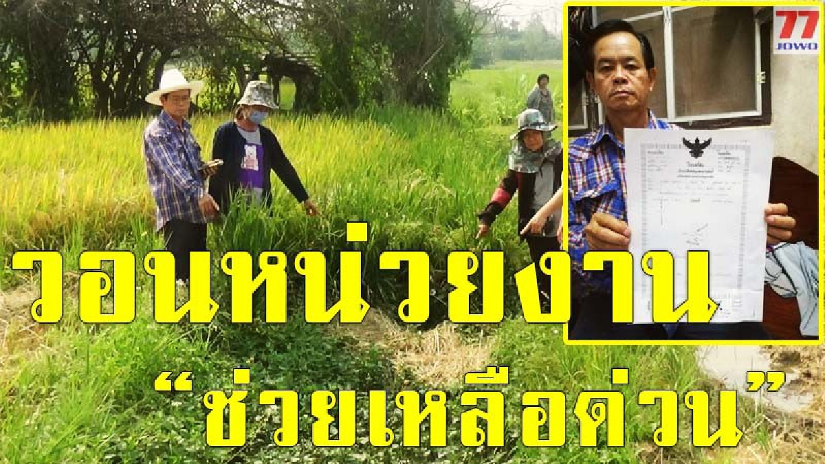 หายไปไหน !! ชาวบ้านครวญทางสาธารณะกลายเป็นที่ส่วนตัวถมดินปิดทางน้ำ มีแค่ต้นทางและปลายทาง นากว่า 10 ไร่กลายเป็นนาร้างขาดน้ำทำนา