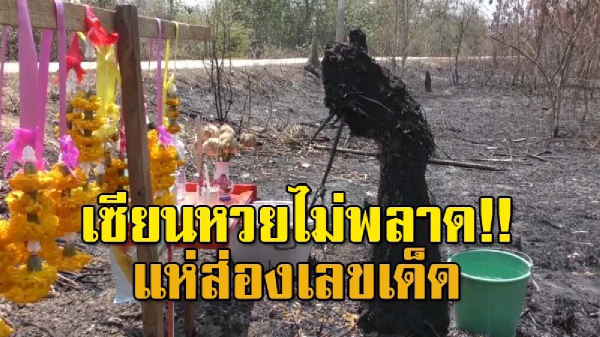 คอหวยส่องตาแทบหลุด หลังพบ "พญานาค" โผล่จากดิน