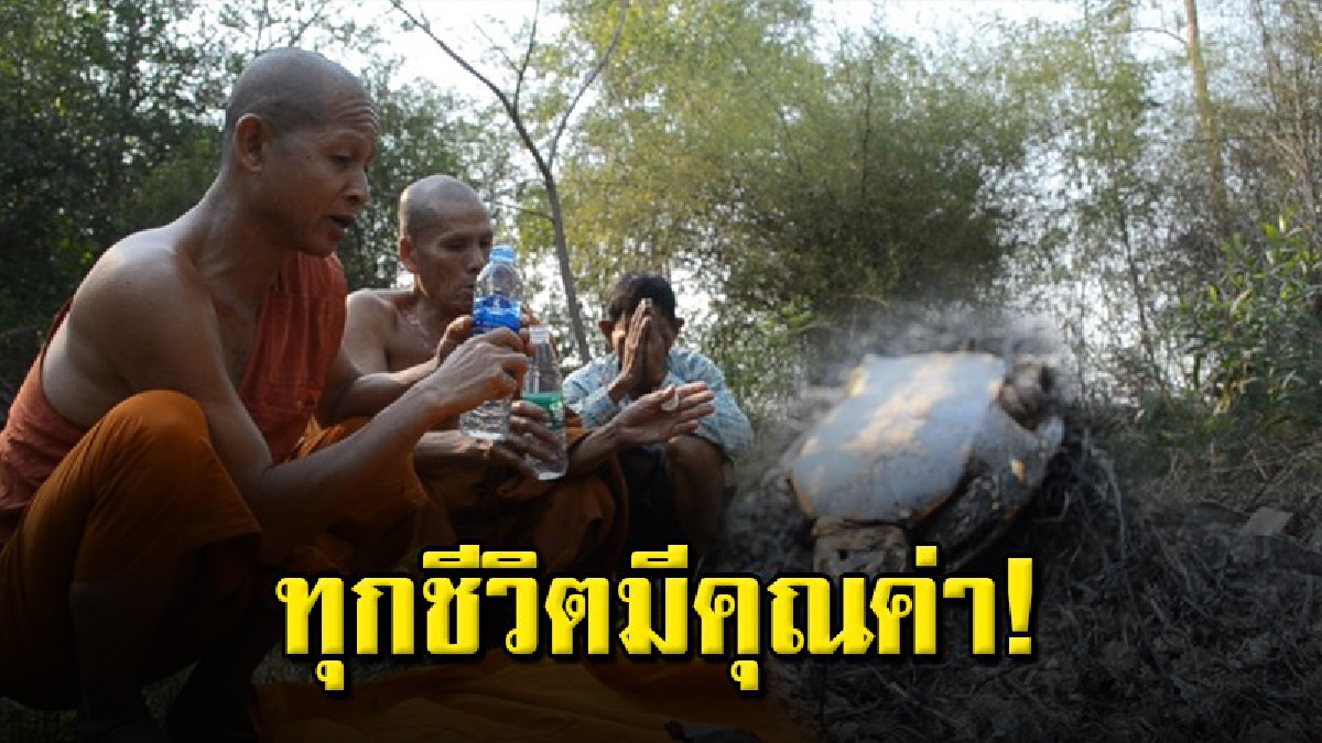 หลวงพ่อทำพิธีสวดมาติกาหยาดน้ำเมตตา ให้แก่เต่าและกบ 12 ตัวที่ถูกไฟคลอก หลังจากชาวจุดเผาตอซังข้าว ไฟลามเข้าในป่าพื้นที่วัด