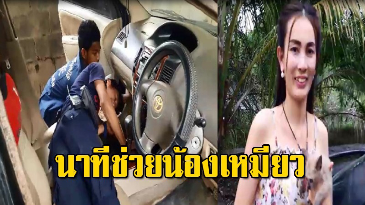 นาทีช่วยระทึก ลูกแมวเหมียวแสนซน ติดในคอนโทรลรถเก๋งข้ามวันข้ามคืน