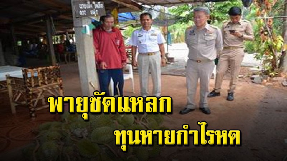 พายุฤดูร้อนถล่มสวนทุเรียนภูเขาไฟ ศรีสะเกษ พังยับ ผู้ว่าฯ เร่งเข้าไปช่วยเหลือด่วน