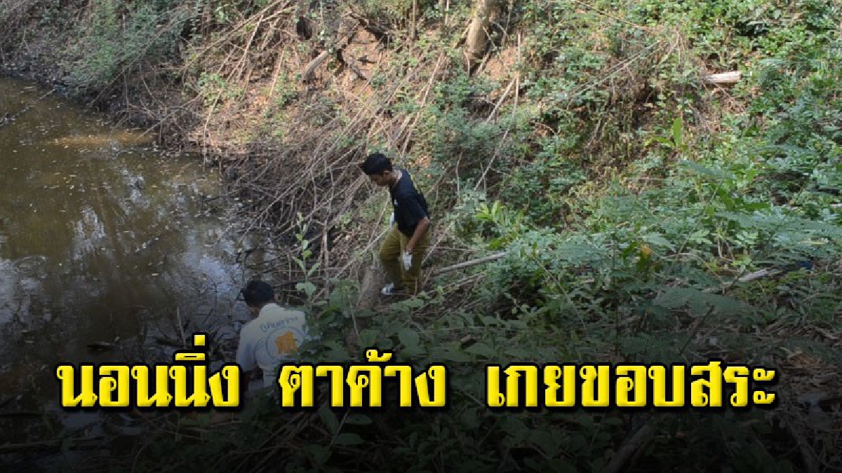 พ่อเฒ่านิรามนอนจมสระน้ำ ช่างต่อเติมบ้านเดินมาพบ คิดว่าปลาตัวใหญ่ โร่แจ้งกู้ภัยช่วยเหลือ แต่สุดยื้อ