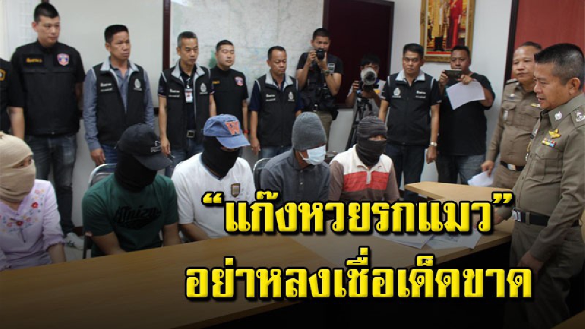 รวบแล้ว แก๊งหากินบนความเชื่อ หลอกนำรกแมวมาทำหวย สูญเงินนับล้าน