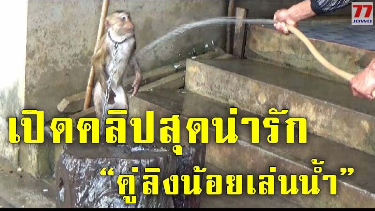 คลิปสุดน่ารัก 2 จ๋อเพื่อนซี้ เล่นน้ำคลายร้อน หลังสภาพอากาศสุดร้อนจัด