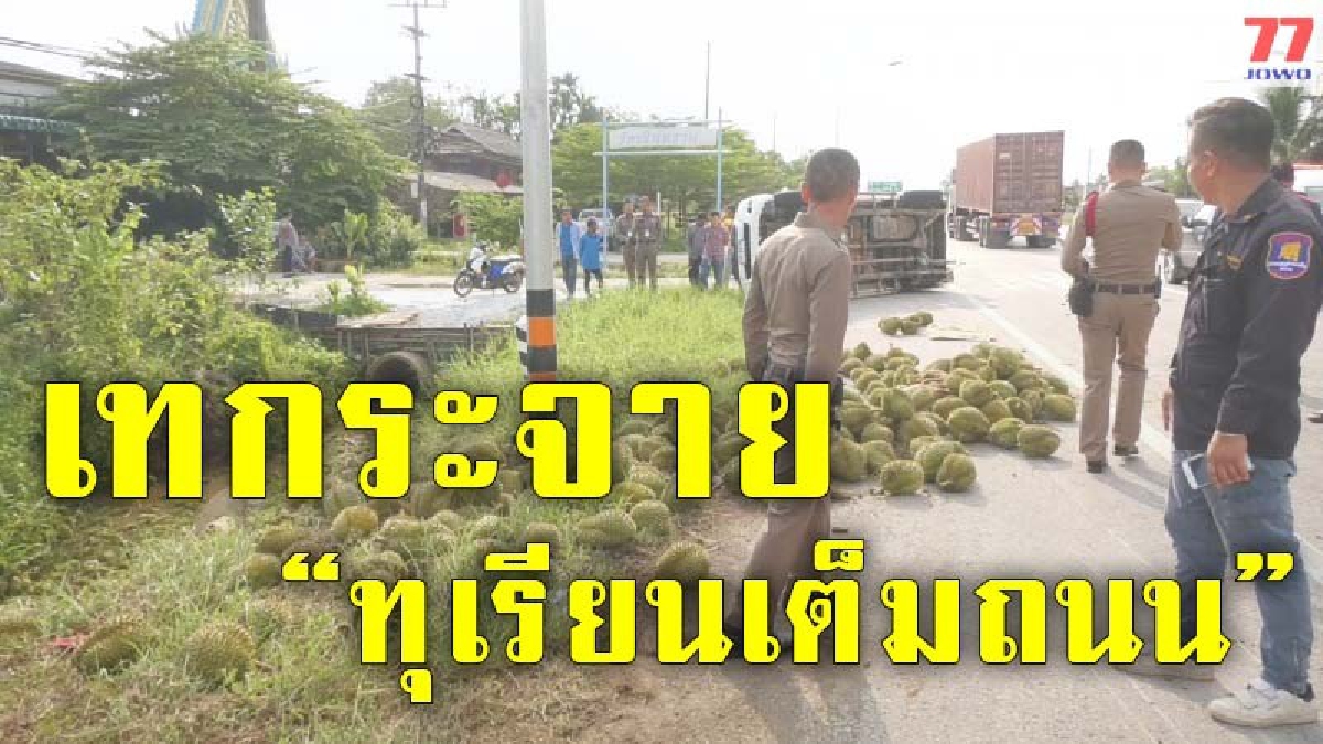 เสียหายยับเยิน เจ้าของหน้าซีด หลังบรรทุกทุเรียนร่วม 3 ตัน เกิดล้อหลุดพลิกตะแคงเทเต็มถนน