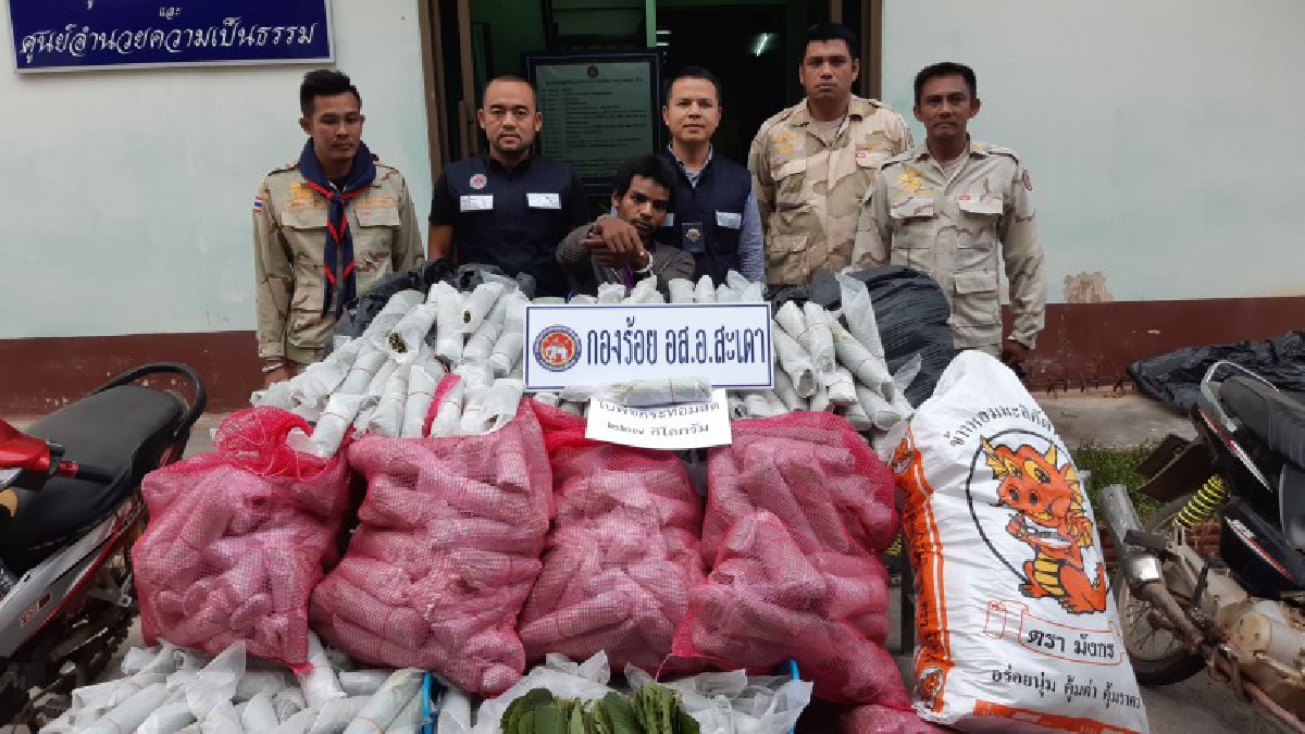 ฝ่ายปกครองอำเภอสะเดา ลาดตระเวนพื้นที่เป้าหมายแนวชายแดนไทย &ndash; มาเลเซีย พบใบกระท่อมสดซุกในป่ากว่า 200 กิโลกรัม รวบผู้ต้องหาได้ 1 คน รถจักรยานยน