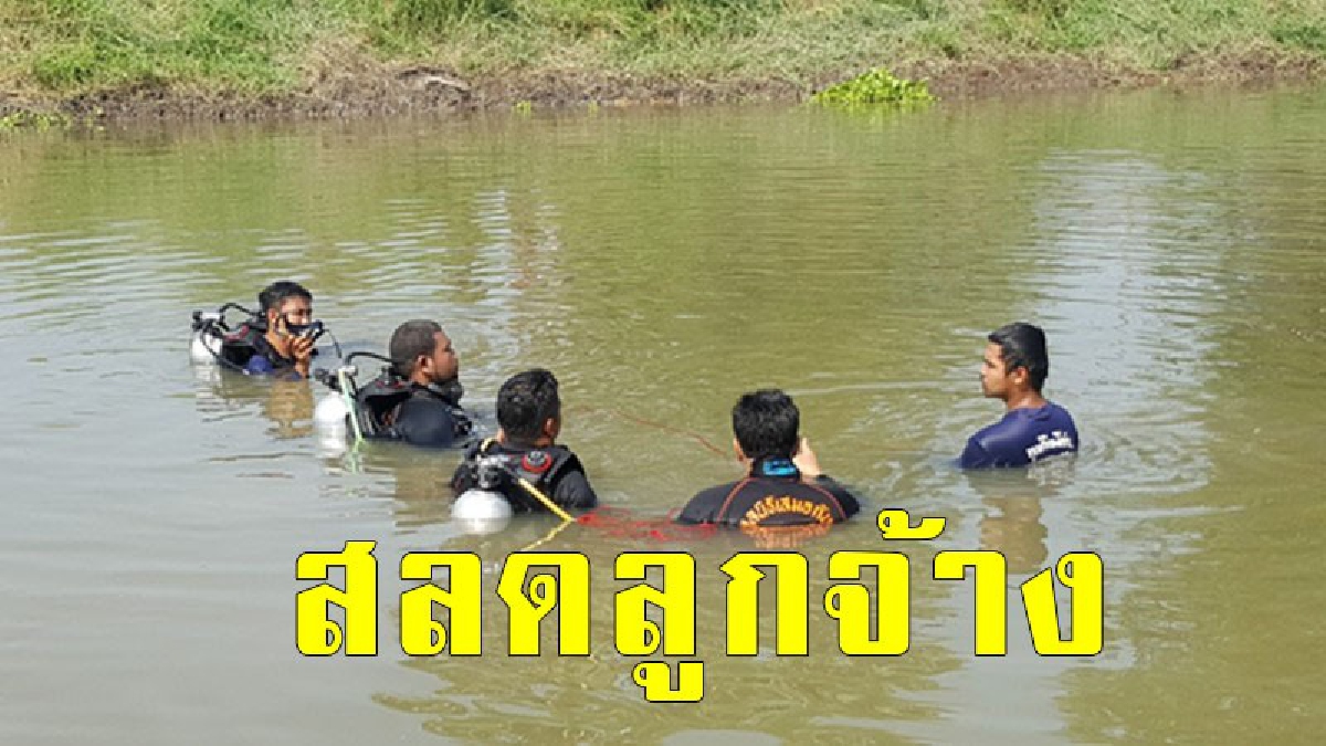 สุดสลด ลูกจ้างเลี้ยงวัว กลับเป็นวันสุดท้ายของชีวิต หลังต้อนวัวทั้งฝูงข้ามคลอง พลาดจมน้ำดับ