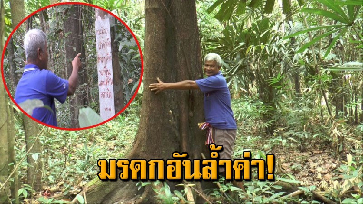 ชาวบ้านสะเดาอุทิศตนกว่า 40 ปี อนุรักษ์ผืนป่าจำนวน 12 ไร่หวังเป็นมรดกตกทอดสู่ลูกหลาน