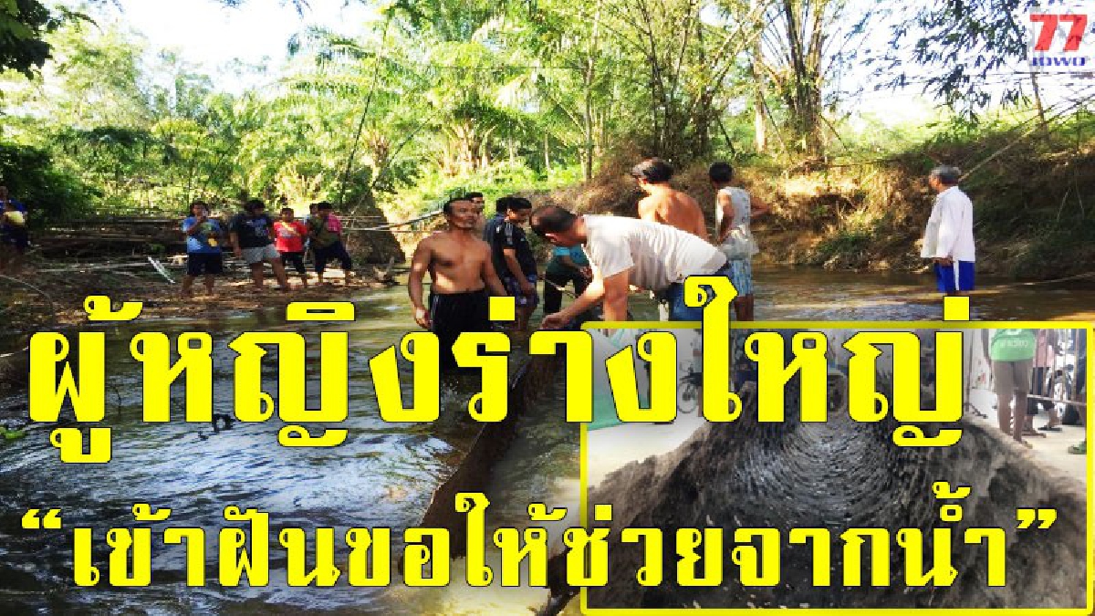 ดำน้ำจับปลา พบ "เรือตะเคียนโบราณ" แทน ก่อนเข้าฝันขอให้ช่วยแล้วจะให้โชค ชาวบ้านแห่เข้ามาส่องเลขหวังเสี่ยงลาภในโค้งสุดท้าย