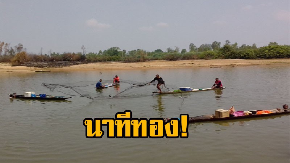 แม่น้ำมูลลดลงพื้นที่บางแห่งตื้นเขิน ชาวบ้านแห่กันมาทอดแหจับปลาเลี้ยงชีพ ที่เหลือก็จะเอาไปจำหน่ายขายในคนในหมู่บ้านด้วยกัน(คลิป)