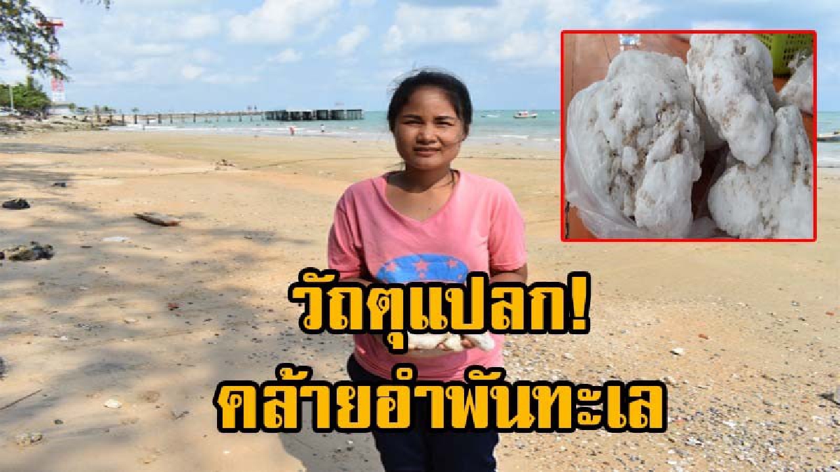 แม่ค้าอาหารทะเล พบวัตถุแปลก ชาวบ้านเชื่อเป็น อำพันทะเลหรืออ้วกวาฬ