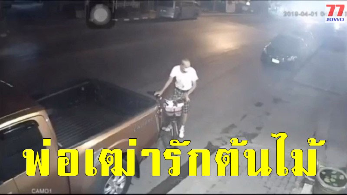 พ่อเฒ่าขอนแก่น ย่องดอดลักต้นไม้ต่อเนื่อง 3 ครั้งซ้อน ก่อนเจ้าของสุดแสนจะสงสัย