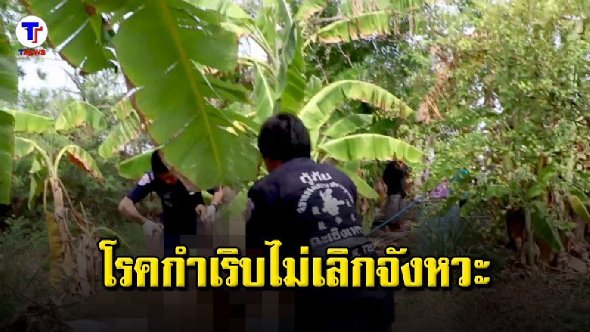 ลุงวัย 68 ปี นั่งปลดทุกข์ข้างบ้าน ก่อนญาติมาพบเสียชีวิตตอนเช้า