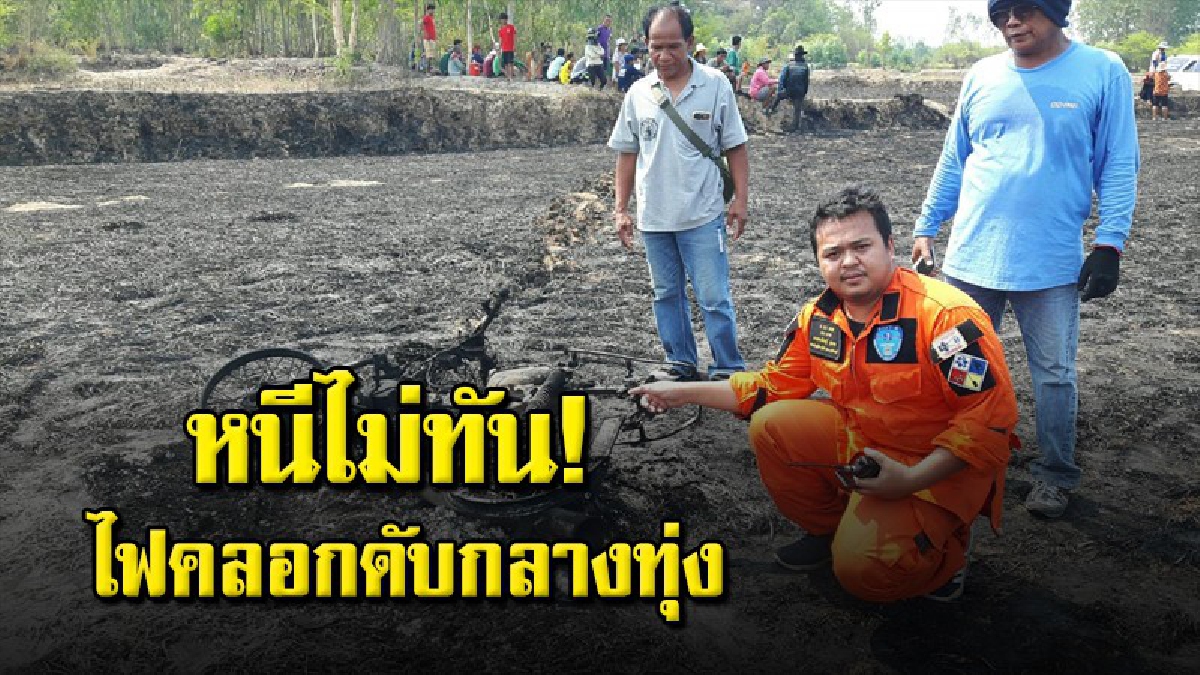 พ่อเฒ่าเมืองช้าง  จุดไฟเผาซังข้าว จนลุกลามหนีออกมาไม่ทัน สุดท้ายจบชีวิตกลางทุ่งนา (คลิป)
