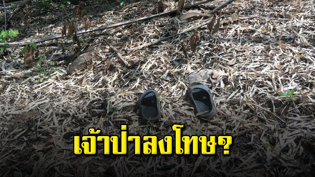พรานป่าสมัครเล่นขึ้นล่าสัตว์บนเขาเขตวัด ลำกล้องปืนทะลุใส่ตัวเองเสียชีวิต (ชมคลิป)
