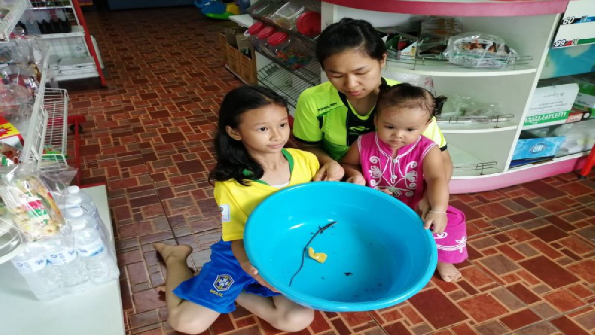 แม่ตกใจ ลูกวัย 2 ขวบ เจอสัตว์แปลกคล้ายกิ้งก่ากับงูผสมกัน