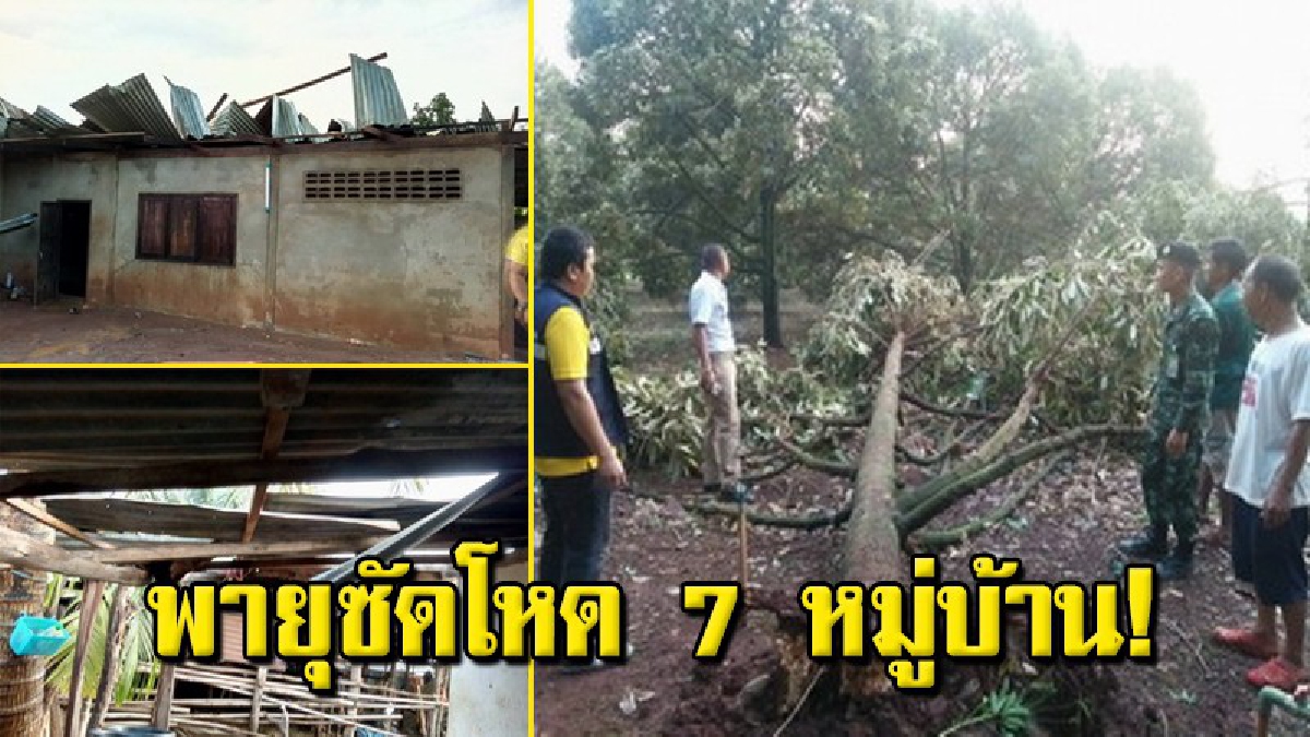 พายุพัดถล่ม 7 หมู่บ้าน อ.ขุนหาญ จ.ศรีสะเกษ พังยับกว่า 50 หลังคาเรือน ต้นทุเรียนภูเขาไฟโค่นล้มจำนวนมาก