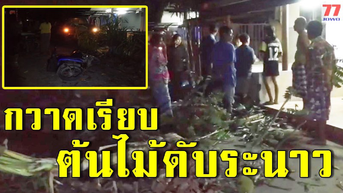 ตะลึงยามดึก กระบะเสียหลักพุ่งลงข้างทางชนเจ็บ 2 ราย ก่อนกวาดเรียบจยย. จักรยาน ต้นไม้ ราวตากผ้า ราบเป็นหน้ากลอง