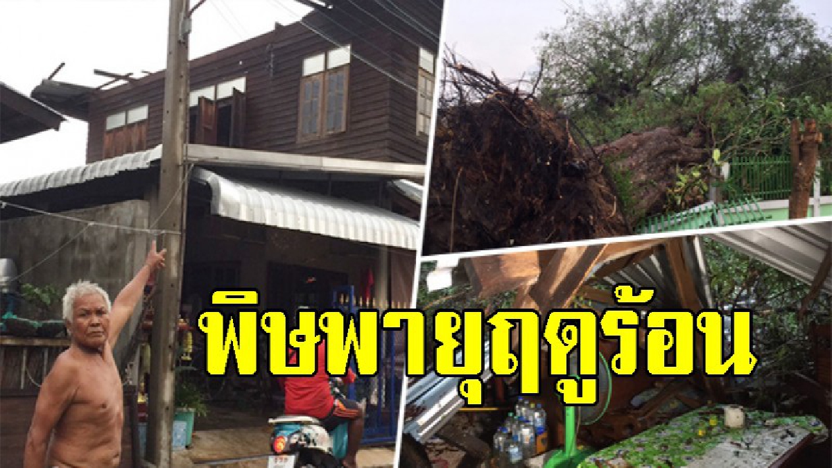 พายุฤดูร้อนโค่นต้นมะขามยักษ์อายุนับร้อยปี ทับบ้านเรือนพังยับที่สุรินทร์