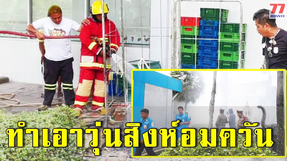 ควันโขมงหลัง 7-11 เจ้าของลั่นชัดเชื่อ 100% สิงห์อมควัน