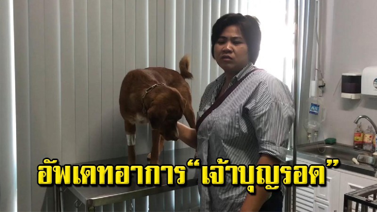 "เจ้าบุญรอด" หมาลอยคอกลางทะเลอาการดีขึ้น