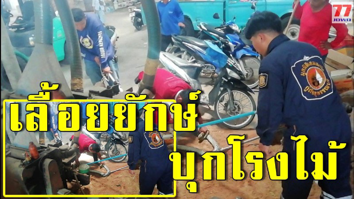 เจ้าของเล่าชัด วินาทีผวา เหลือมเลื้อยบุกซุกใต้แท่น สุดลำบากต่างฝ่ายต่างไม่ยอม