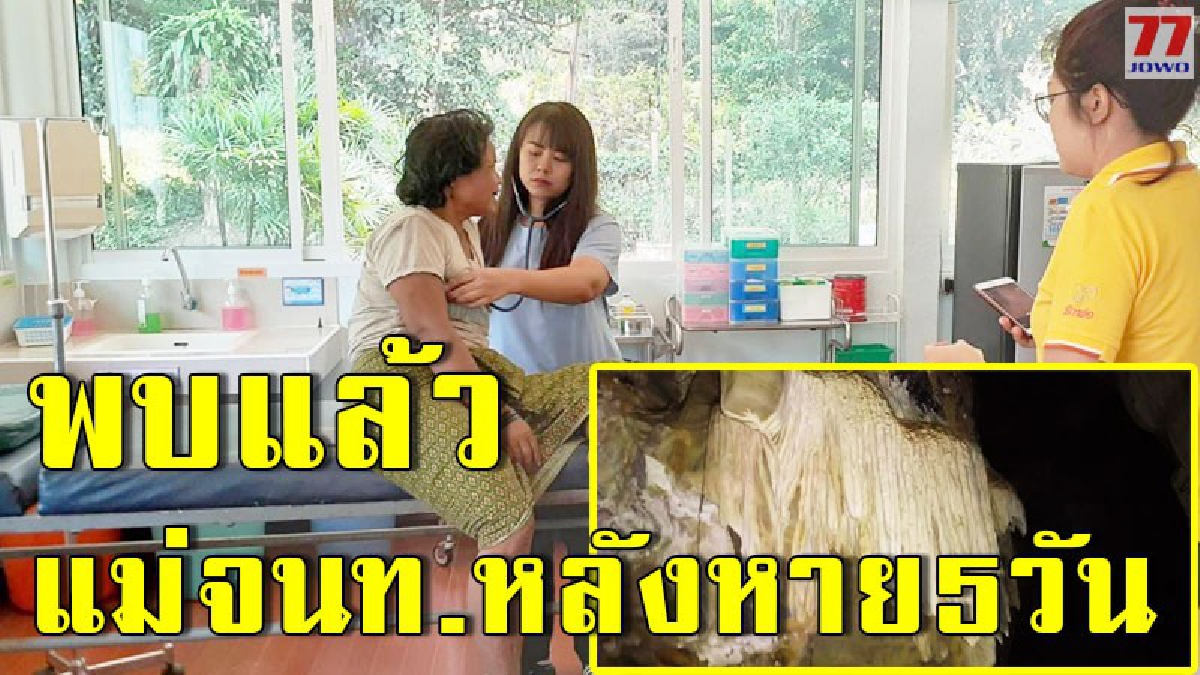 พบแล้วหลังผ่านไปถึง 5 วัน แม่ของจนท.พิทักษ์ป่า พร้อมพบ ถ้ำสุดสวยงาม เตรียมเปิดแหล่งท่องที่ยว