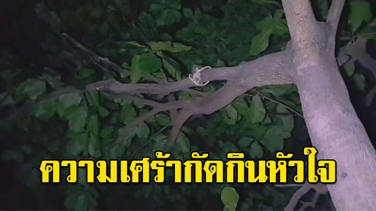 เสียงร้องไห้ดังระงม ภรรยา-ลูกล้มทั้งยืน พบหัวหน้าครอบครัว ผูกคอจบชีวิต