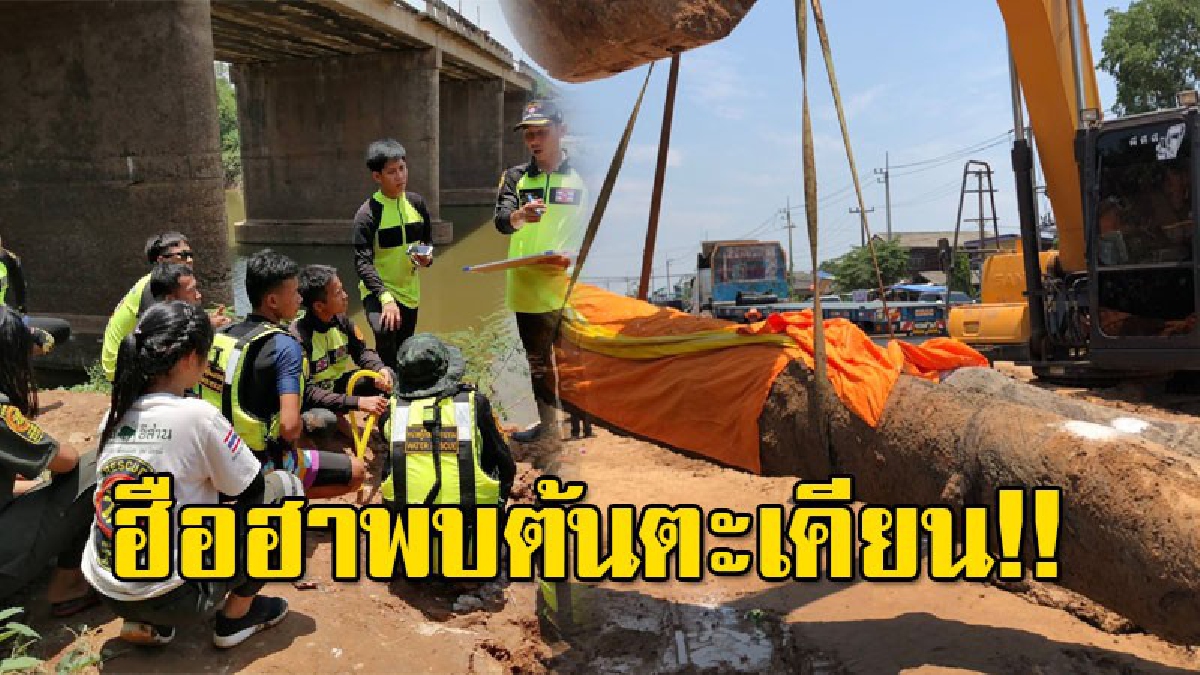 พบต้นตะเคียนอายุนับร้อยปี อยู่ใต้ลำน้ำชี ชาวบ้านแห่กราบไหว้ขอพร