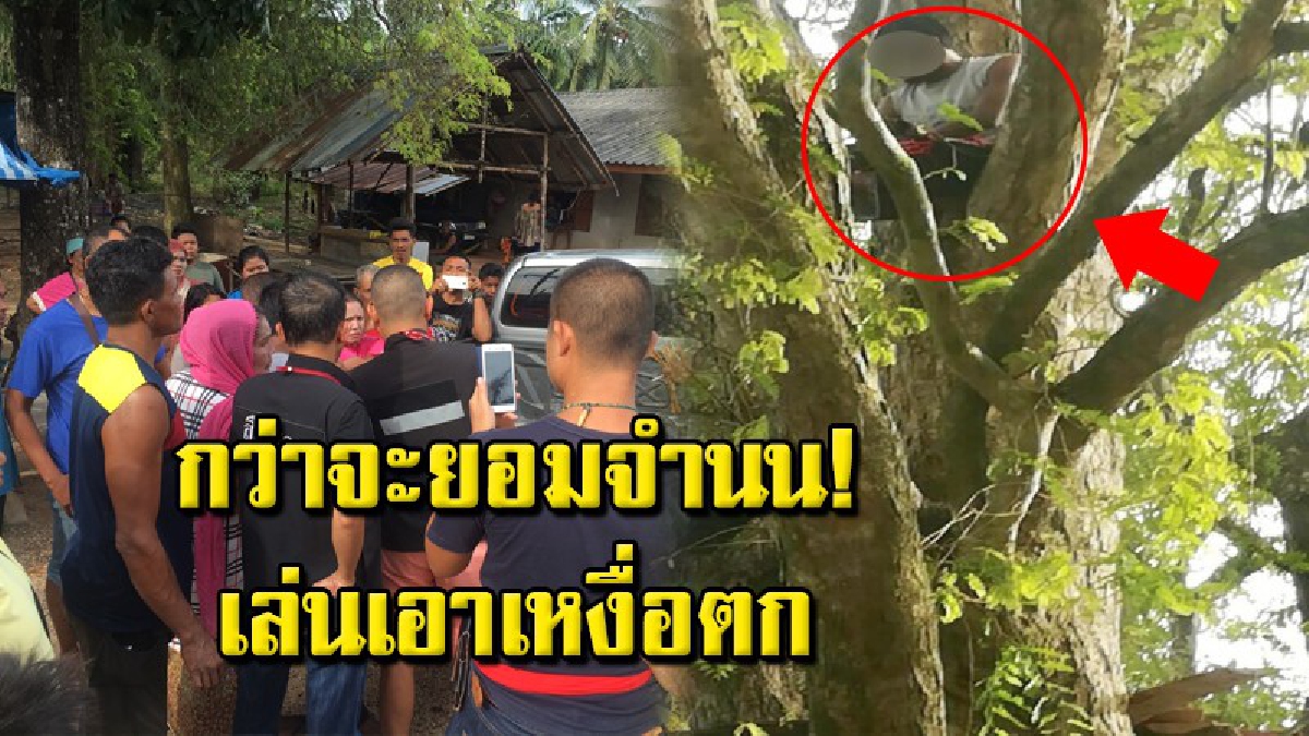 เปิดนาทีวุ่น หนุ่มซุกยาบ้า 2 ร้อยกว่าเม็ด หนีปีนขึ้นต้นมะขาม ตร.เกลี้ยกล่อมกว่า 3 ชม.ก่อนมอบตัว