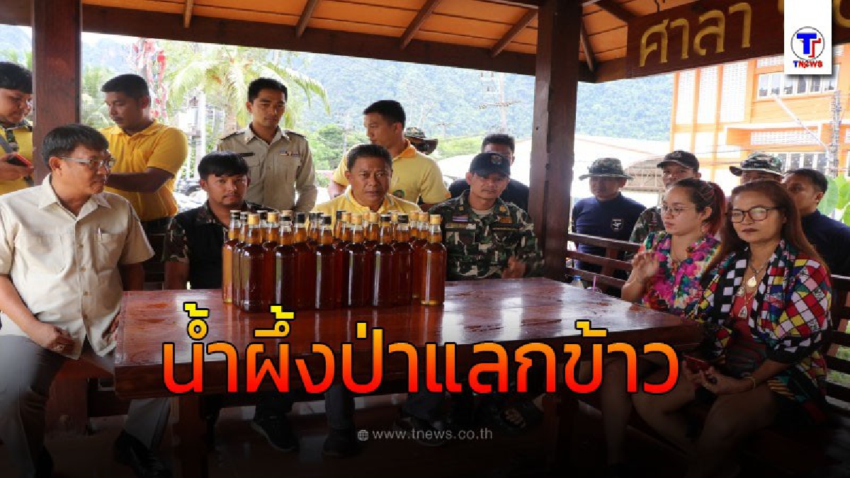หนุ่มอ้างชื่อหัวหน้าอุทยาน เอาน้ำผึ้งป่ามาแลกข้าวสาร