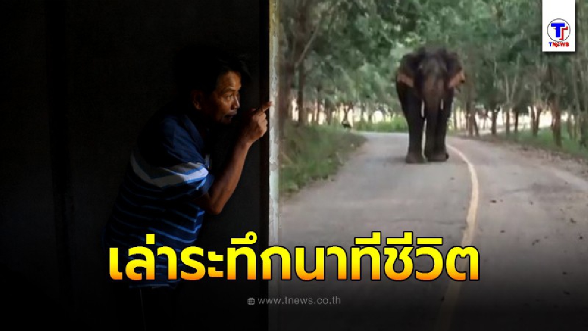 หนุ่มใหญ่ขี่ จยย. พ่วงข้างเจอ ไอ้งาทู่ วิ่งไล่ หนีเตลิดเข้าไปซ่อนตัวในบ้านร้าง รอดหวุดหวิด