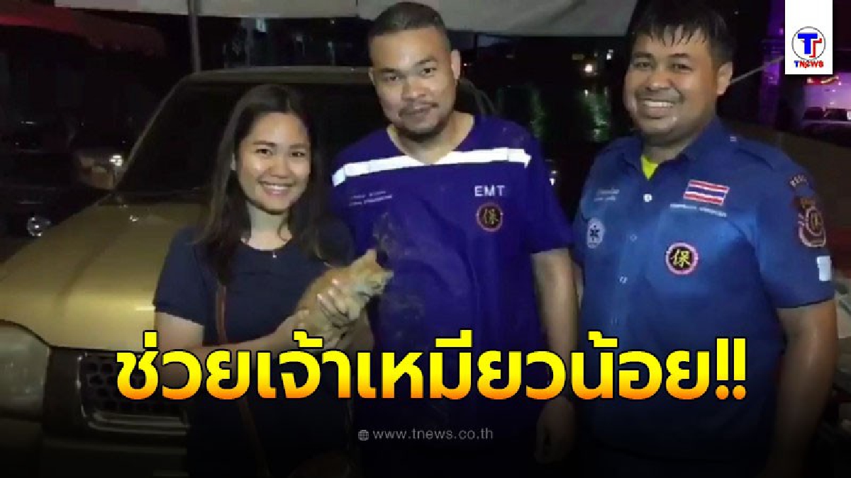 ช่วยเจ้าแมวน้อยติดท่อ ท่ามกลางสายฝน