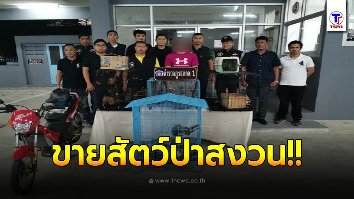 กก.1 บก.สส.ภ.1 บุกรวบผู้ต้องหา หลังลงขายสัตว์ป่าสงวนทางโซเชียลมีเดีย