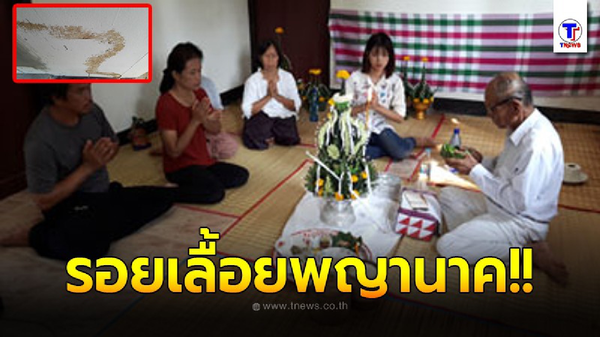 แห่ส่องเลขเด็ด คอหวยแห่ส่องเลขรอยพญานาคโผล่ขึ้นผนังบ้าน