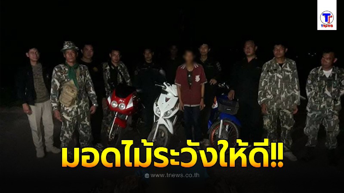อธิบดีธัญญา เปิดยุทธการ”ลับคมขวาน”ล้างขบวนการค้าไม้พะยูง