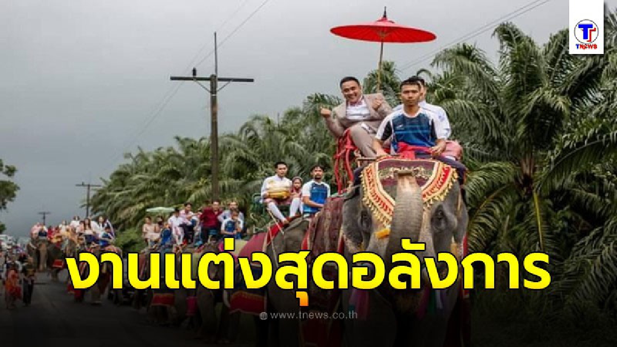 งานแต่งสุดอลังการ แห่ขบวนขันหมากด้วยช้าง 12 เชือก